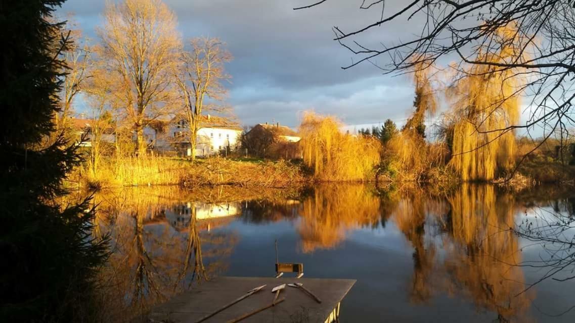 Ferienwohnung Karlsruhe Bagian luar foto