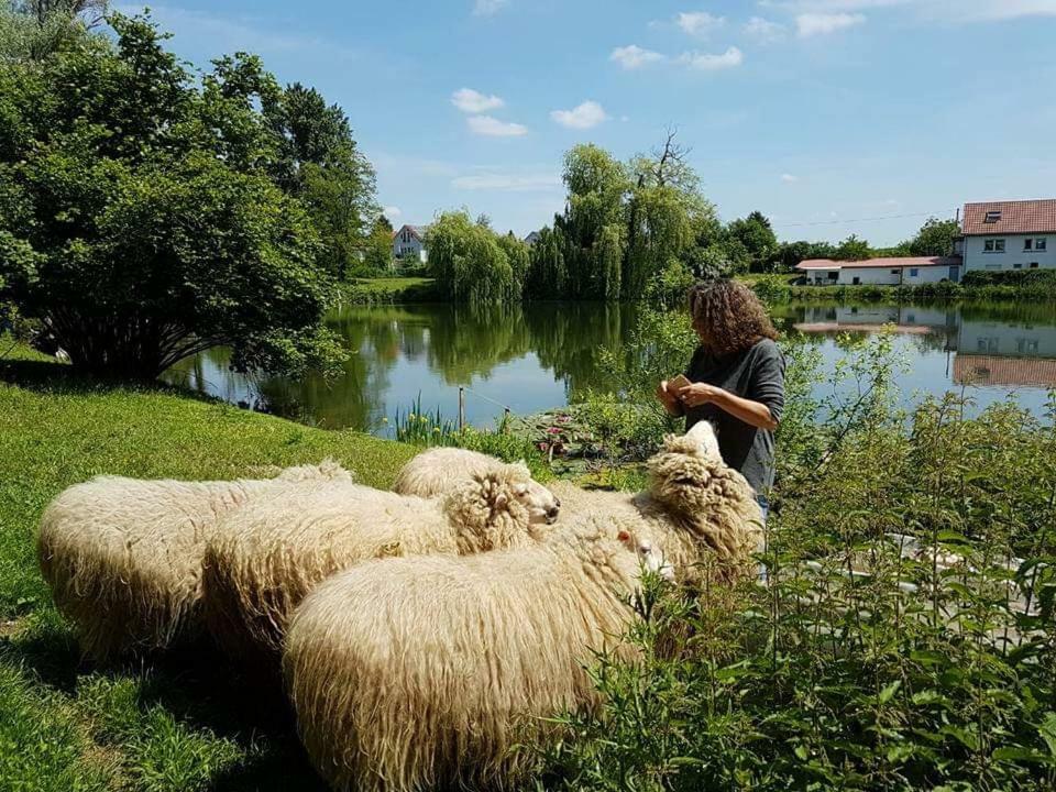 Ferienwohnung Karlsruhe Bagian luar foto